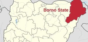 Borno-State-super-camp-