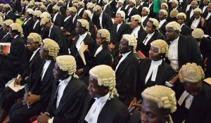 Nigerian-Lawyers-SAN