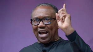 peter-obi-and-tinubu-government