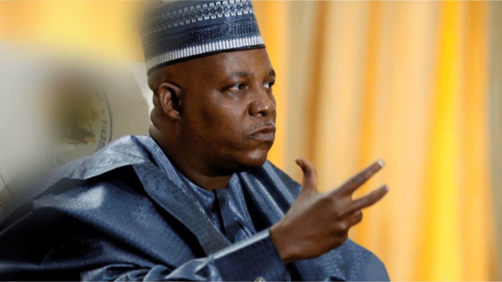 shettima-don-resume-work