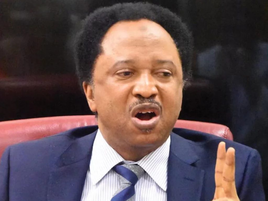 shehu-sani-predict-tribunal-rule